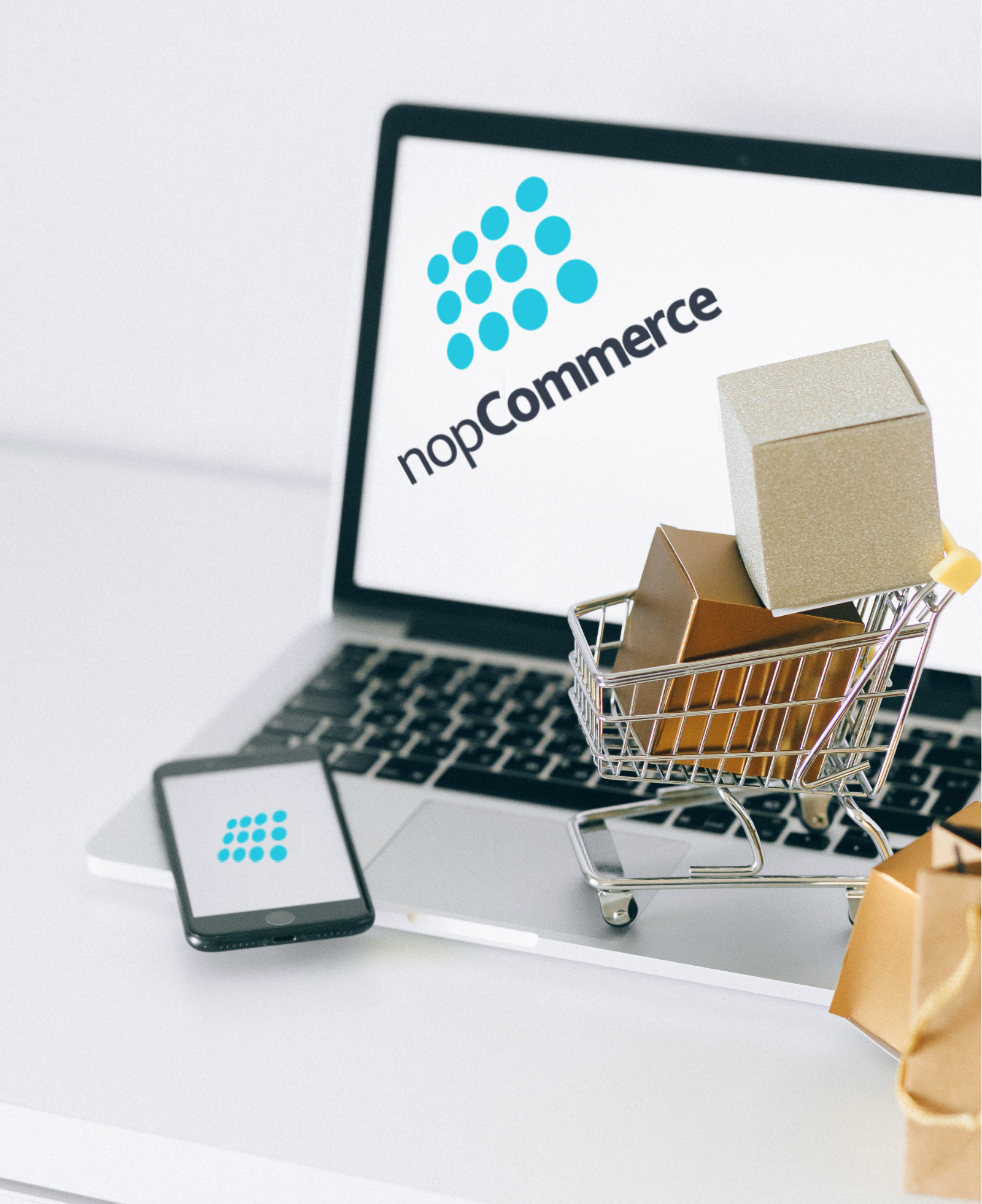 NopCommerce Developers