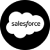 salesforce development